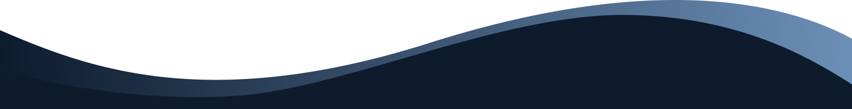 Updated Swoosh Transparent Top